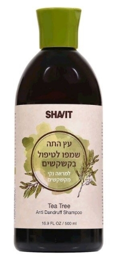 שביט