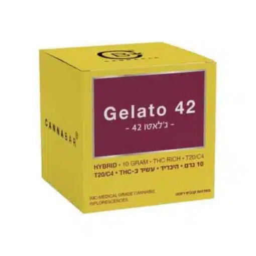 ג'לאטו 42 (Gelato 42)