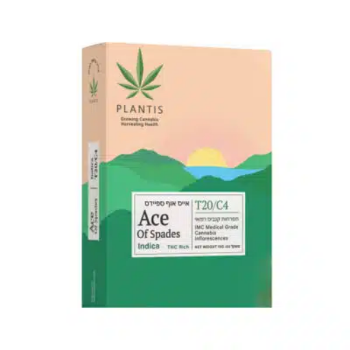 אייס אוף ספיידס (Ace Of Spades)