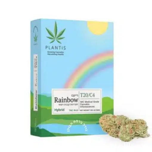 ריינבו (Rainbow)