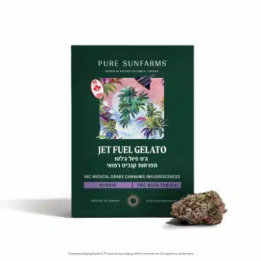 ג'ט פיול ג'לאטו (Jet Fuel Gelato)