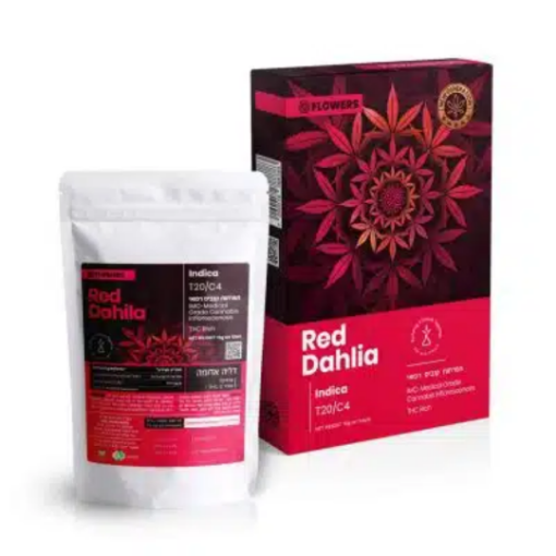 רד דליה אדומה (Red Dahlia)