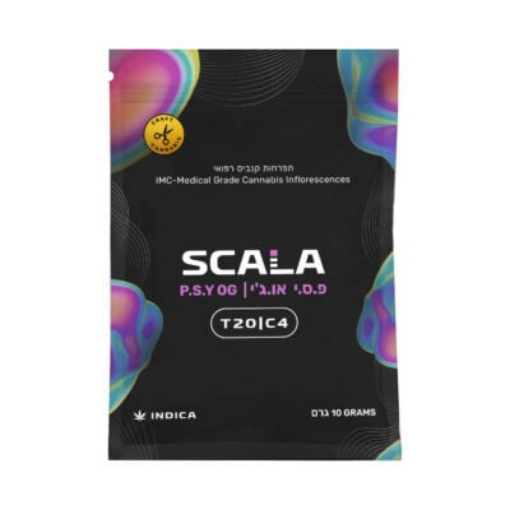 תמונה של גרין האוס (Green House)